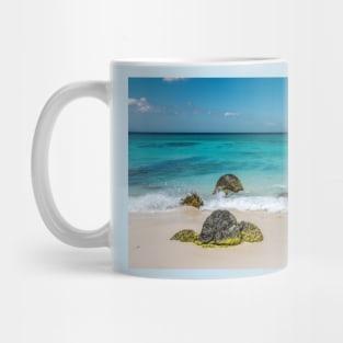 Arashi Beach in Aruba Mug